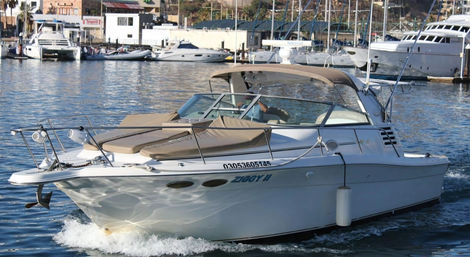 Private 36ft Yacht Cruise: Ultimate Scenic Boat Day in Cabo image 5