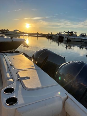 Luxury Harbor Boat Cruise Tour with Stunning Sightings and Luxury Photo-Ops image 1