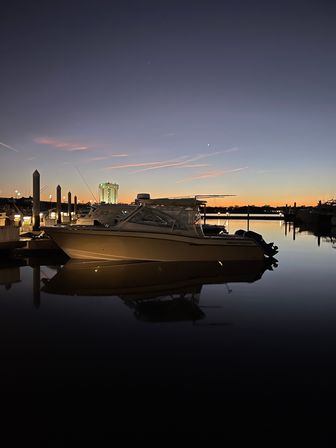 Luxury Harbor Boat Cruise Tour with Stunning Sightings and Luxury Photo-Ops image 3