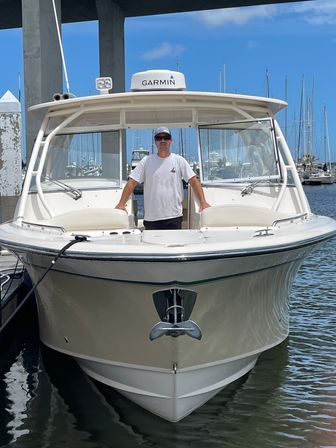 Luxury Harbor Boat Cruise Tour with Stunning Sightings and Luxury Photo-Ops image 13