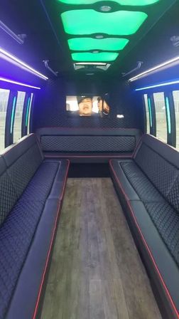 VIP 20-Passenger Party Bus Transportation Service (BYOB) image 2