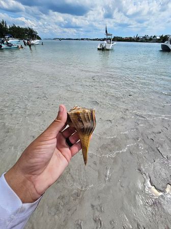 Shellebrate the Bride to Be: Custom Bachelorette Boat Cruise image 13