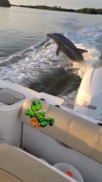 Playful dolphin leaping out of the wake beside a small boat’s outboard motor on calm coastal waters, foamy wake and a beige seat with a colorful cartoon turtle sticker.