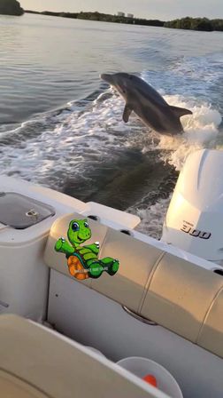 Playful dolphin leaping out of the wake beside a small boat’s outboard motor on calm coastal waters, foamy wake and a beige seat with a colorful cartoon turtle sticker.