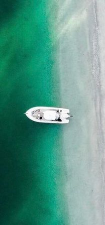 Shellebrate the Bride to Be: Custom Bachelorette Boat Cruise image 27