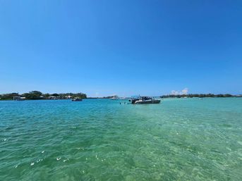 Shellebrate the Bride to Be: Custom Bachelorette Boat Cruise image 11