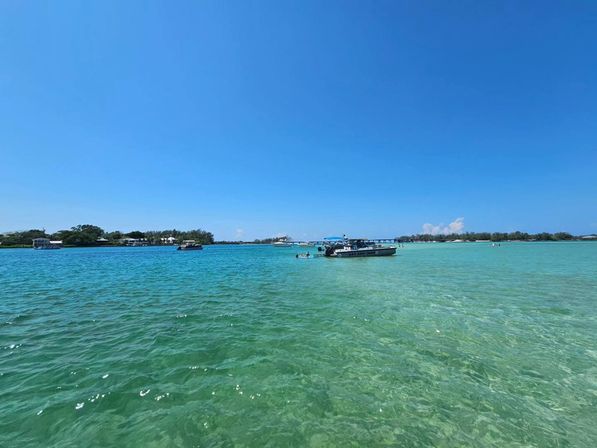 Shellebrate the Bride to Be: Custom Bachelorette Boat Cruise image 11