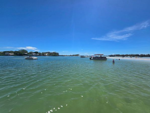 Shellebrate the Bride to Be: Custom Bachelorette Boat Cruise image 14