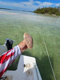 Shellebrate the Bride to Be: Custom Bachelorette Boat Cruise image 9