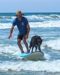 Kokopelli Surf Camp: Surf Lessons Led by Pro Surfers image 3