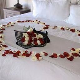 Casa Alvar: 5BR Luxury Villa with Ocean Views, Infinity Pool & VIP Concierge at Quivira image 55