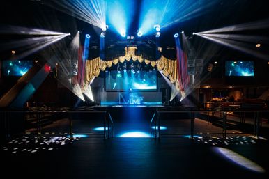 VIP Party/Bottle Services at Big Night Live Luxury Concert Venue/Club image 11