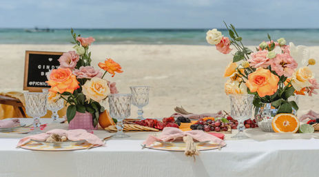 Sip & Paint Picnic Experience: Includes Art Supplies, Food, Drinks + Luxury Setup image 6