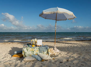 Sip & Paint Picnic Experience: Includes Art Supplies, Food, Drinks + Luxury Setup image 7
