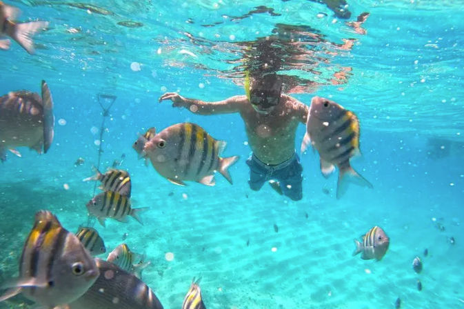 Snorkeling Experience in Isla Mujeres: Two Coral Reefs + Underwater Museum  image 3