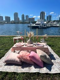 The Ultimate Party Weekend: All Inclusive Decor, Cabana Boys, Party Bus, and Glam Picnic image 6