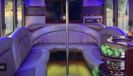 The Ultimate Party Weekend: All Inclusive Decor, Cabana Boys, Party Bus, and Glam Picnic image 10