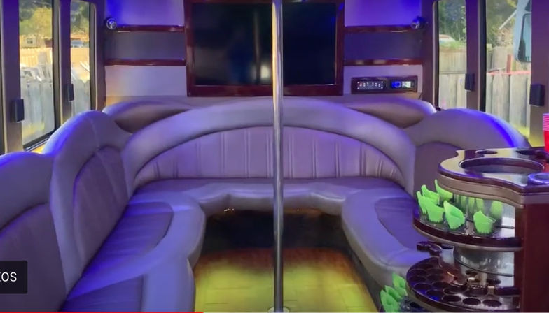 The Ultimate Party Weekend: All Inclusive Decor, Cabana Boys, Party Bus, and Glam Picnic image 10