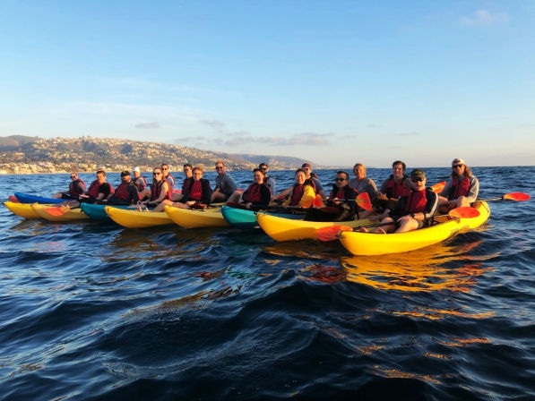 Ocean Kayak Eco Tour & Wildlife Viewing: Sea Lions, Dolphins, Whales image 19