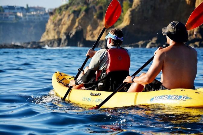 Ocean Kayak Eco Tour & Wildlife Viewing: Sea Lions, Dolphins, Whales image 3