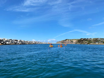 Ocean Kayak Eco Tour & Wildlife Viewing: Sea Lions, Dolphins, Whales image 23