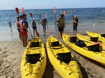 Ocean Kayak Eco Tour & Wildlife Viewing: Sea Lions, Dolphins, Whales image 8