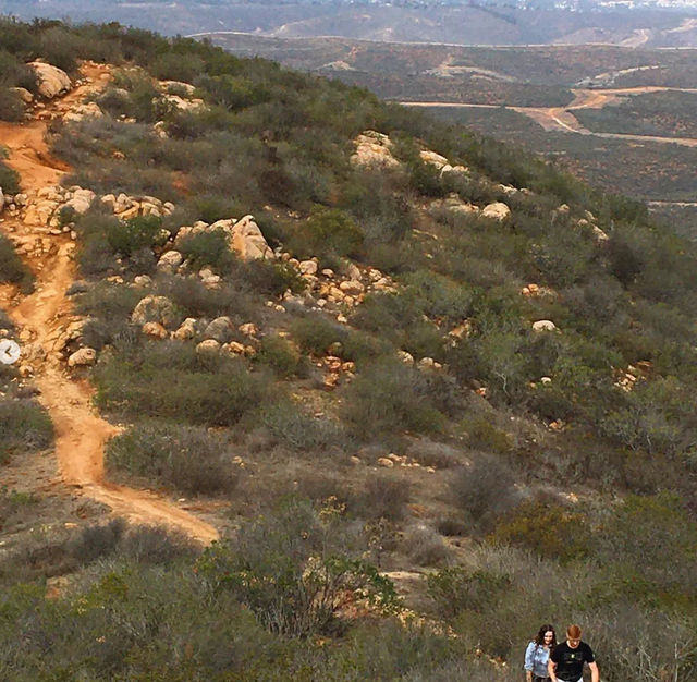 Hidden San Diego Hikes: Guided Nature Tour in Tecolote or Mission Trails image 3