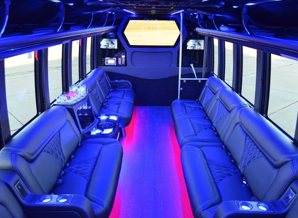 Luxury Party Bus: Bar Crawl, Brewery Tour or Beach Cruising image 2