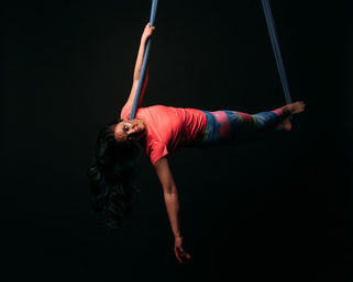 Elegant Aerial Arts & Circus Tricks Fitness Party image 13
