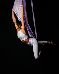 Elegant Aerial Arts & Circus Tricks Fitness Party image 7