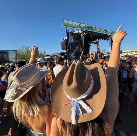 Custom Cowgirl & Cowboy Hat Party: Bling it, Burn it, Brand it image 4