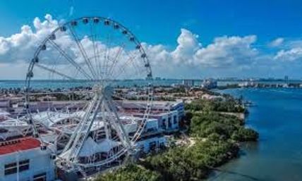 Dolphin Ride & Ferris Wheel Tour image 5