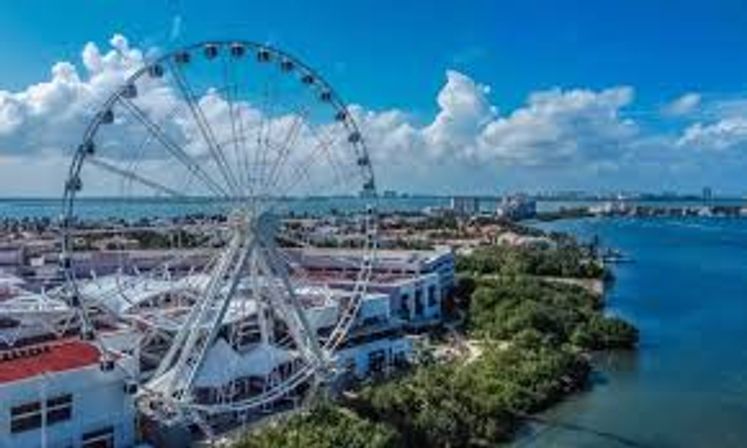 Dolphin Ride & Ferris Wheel Tour image 5