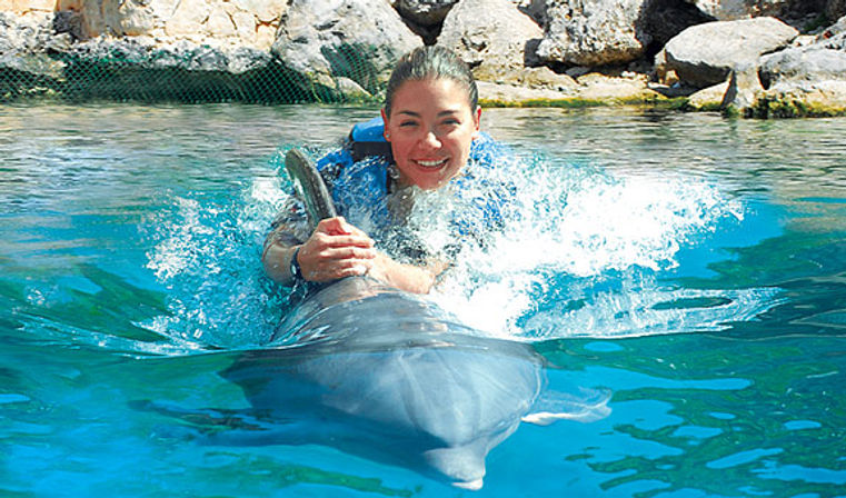 Dolphin Ride & Ferris Wheel Tour image 1