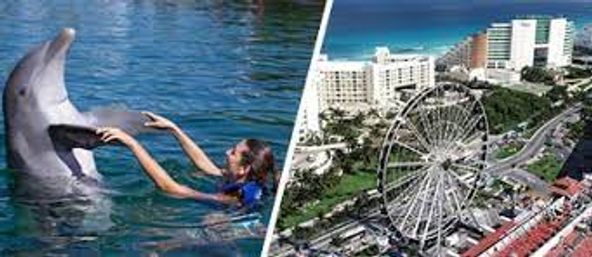Dolphin Ride & Ferris Wheel Tour image 7