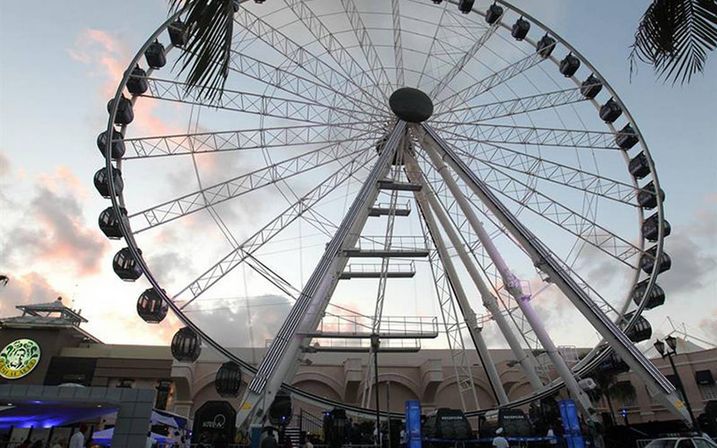 Dolphin Ride & Ferris Wheel Tour image 2