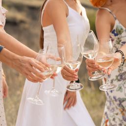 Private Sonoma & Napa Valley Winery Tour with Tasting Fees Included image 1