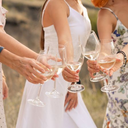 Private Sonoma & Napa Valley Winery Tour with Tasting Fees Included image 1