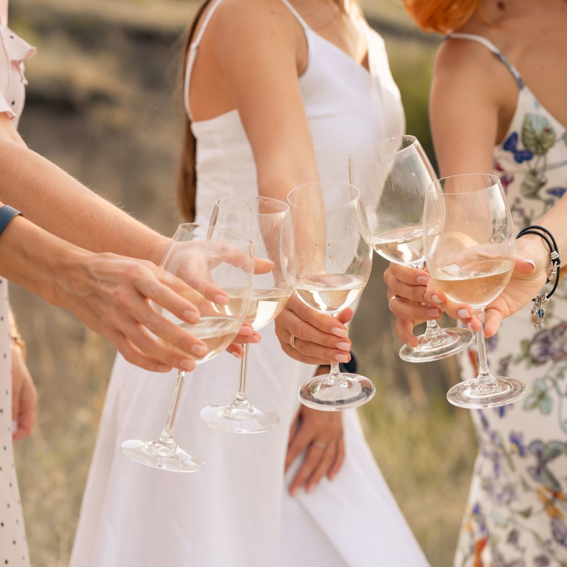 Private Sonoma & Napa Valley Winery Tour with Tasting Fees Included image 1