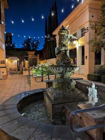 Private Sonoma & Napa Valley Winery Tour with Tasting Fees Included image 4