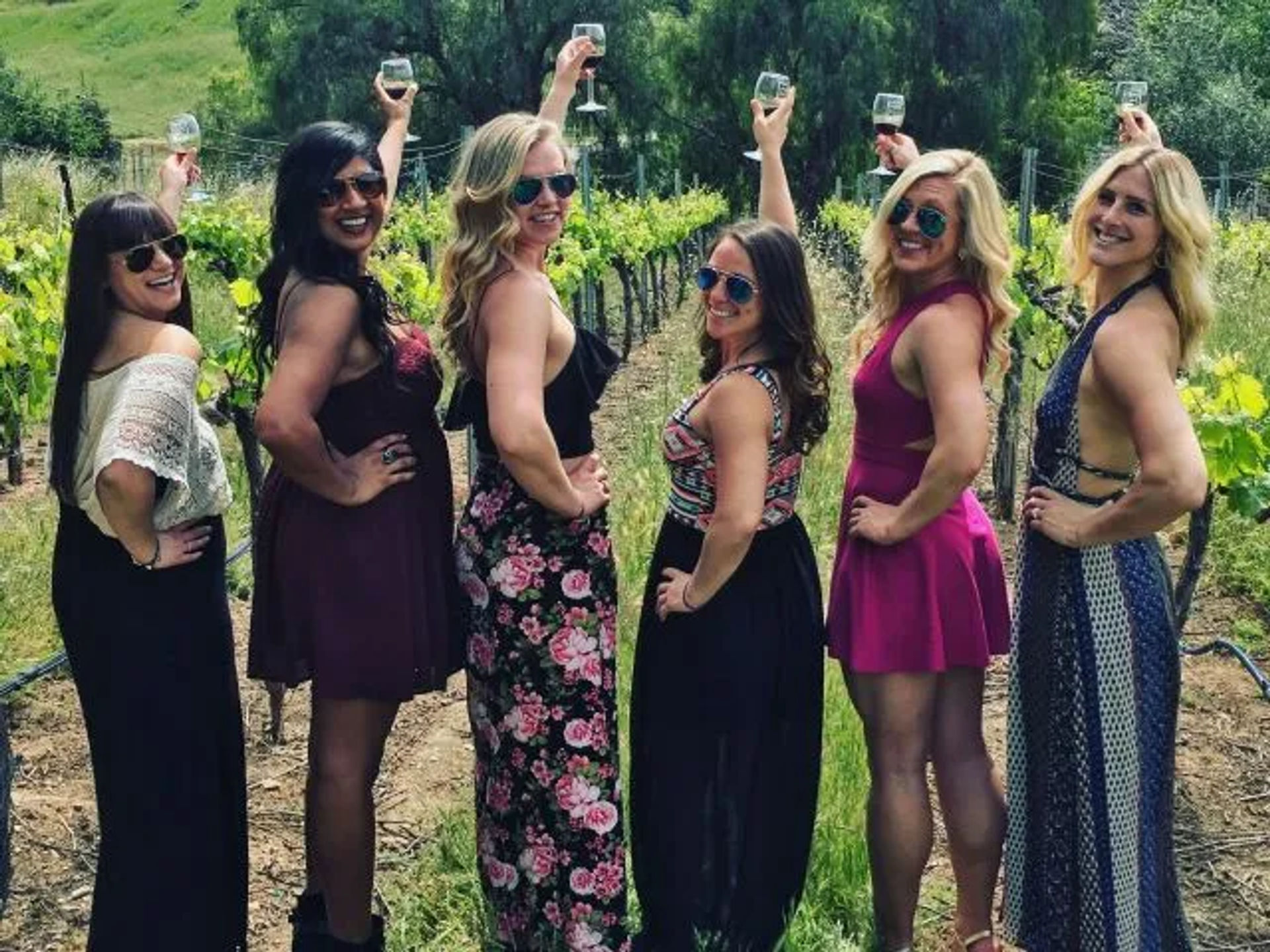 Private Sonoma & Napa Valley Winery Tour with Tasting Fees Included image 2
