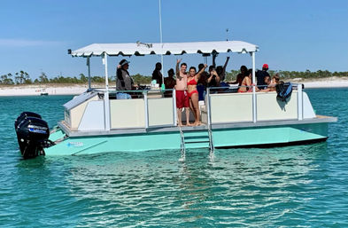 Shell Island & Blue Dolphin Boat Tour with Captain & BYOB image
