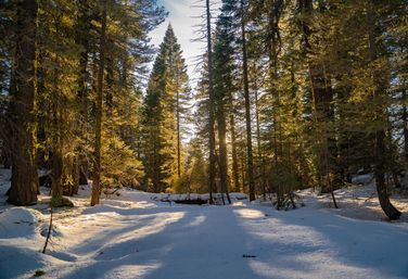 Sunset or Moonlit Snowshoe Hiking Tour image 2