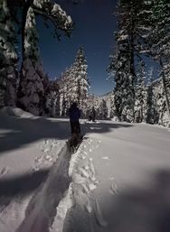 Sunset or Moonlit Snowshoe Hiking Tour image 6