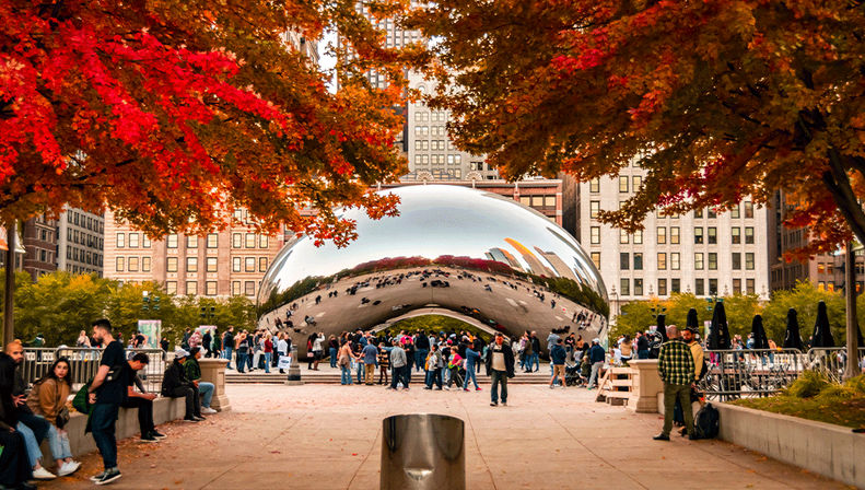 Exclusive Private Chicago City Tour: River Cruise, Skydeck, Bean & Hotel Transport image 9