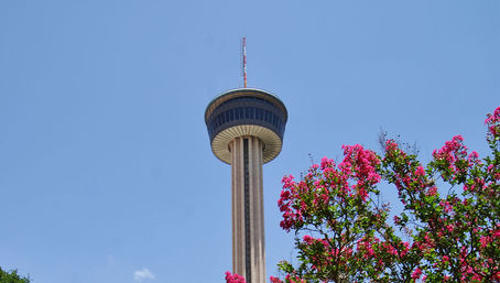 Best of San Antonio Tour from Austin: Includes River Boat Cruise + Return Transport  image 20