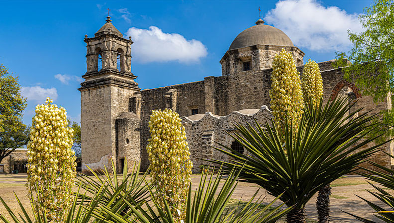 Best of San Antonio Tour from Austin: Includes River Boat Cruise + Return Transport  image 2