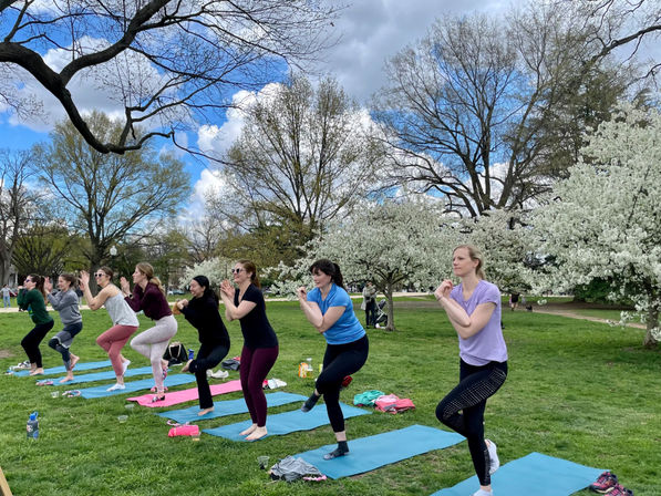 Private Yoga Class with Custom Playlists, Mimosa Add-Ons, and Cold Lavender Eye Towels image 1