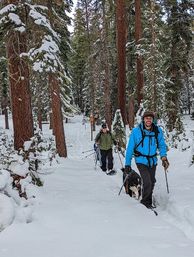Half Day Snowshoe Hike through Chickadee Ridge: Good for Beginners image 5