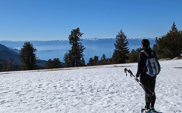 Half Day Snowshoe Hike through Chickadee Ridge: Good for Beginners image 3